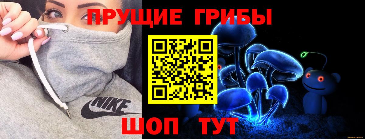 купить наркотики цена  Галлюциногенные грибы мицелий  Ульяновск  Вход с VPN  Галлюциногенные грибы Cubensis 